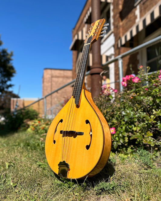 Showroom photo of Front of Joel A. Shewchuk A-Model Mandolin (2016)