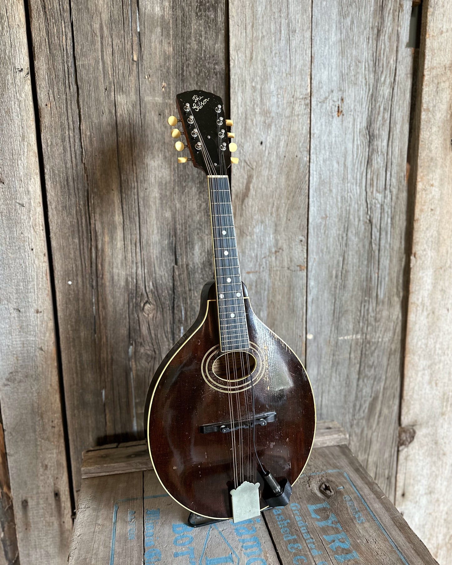 Showroom Photo of Front of Gibson A-2 Mandolin (1922)