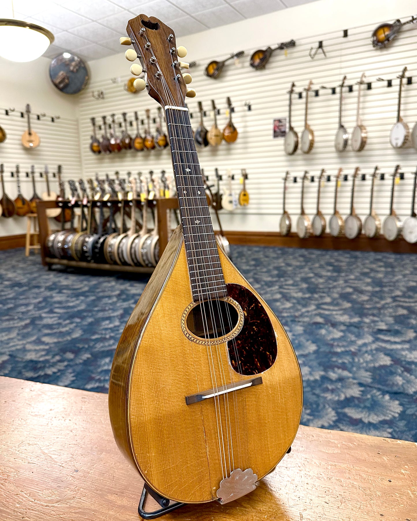 Showroom photo of Martin Style B Mandolin (1919)