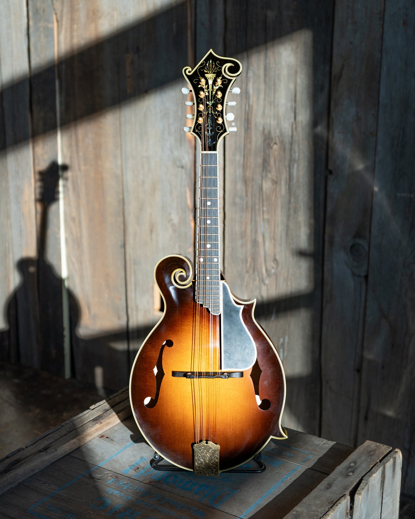 Showroom photo of Front of Ellis F-5 Reserve Mandolin (2016)