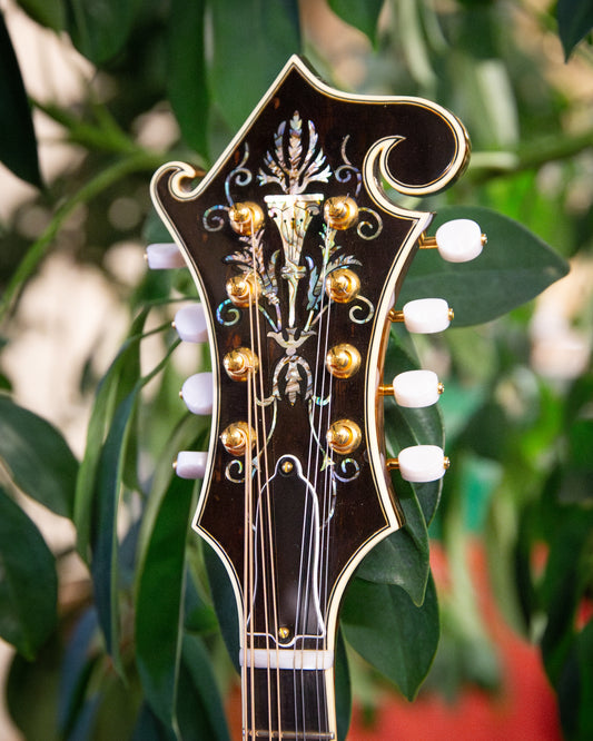 Showroom photo of headstock  of Stiver F-5 Mandolin