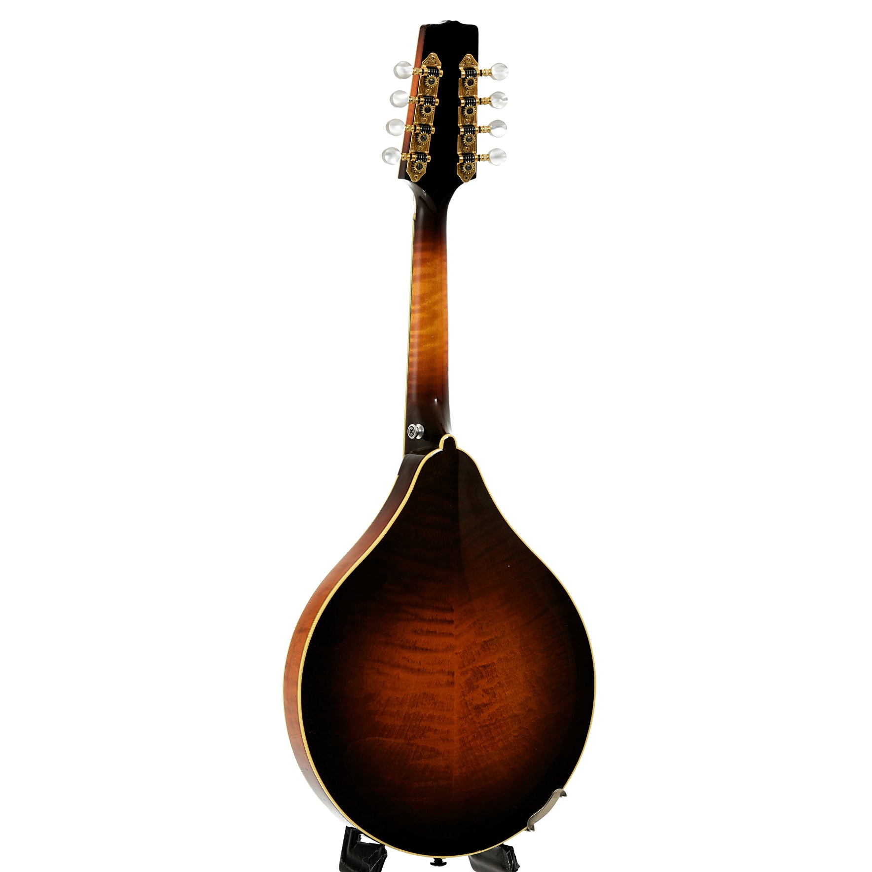 Full back and side of Flatiron A-5 Artist Mandolin 