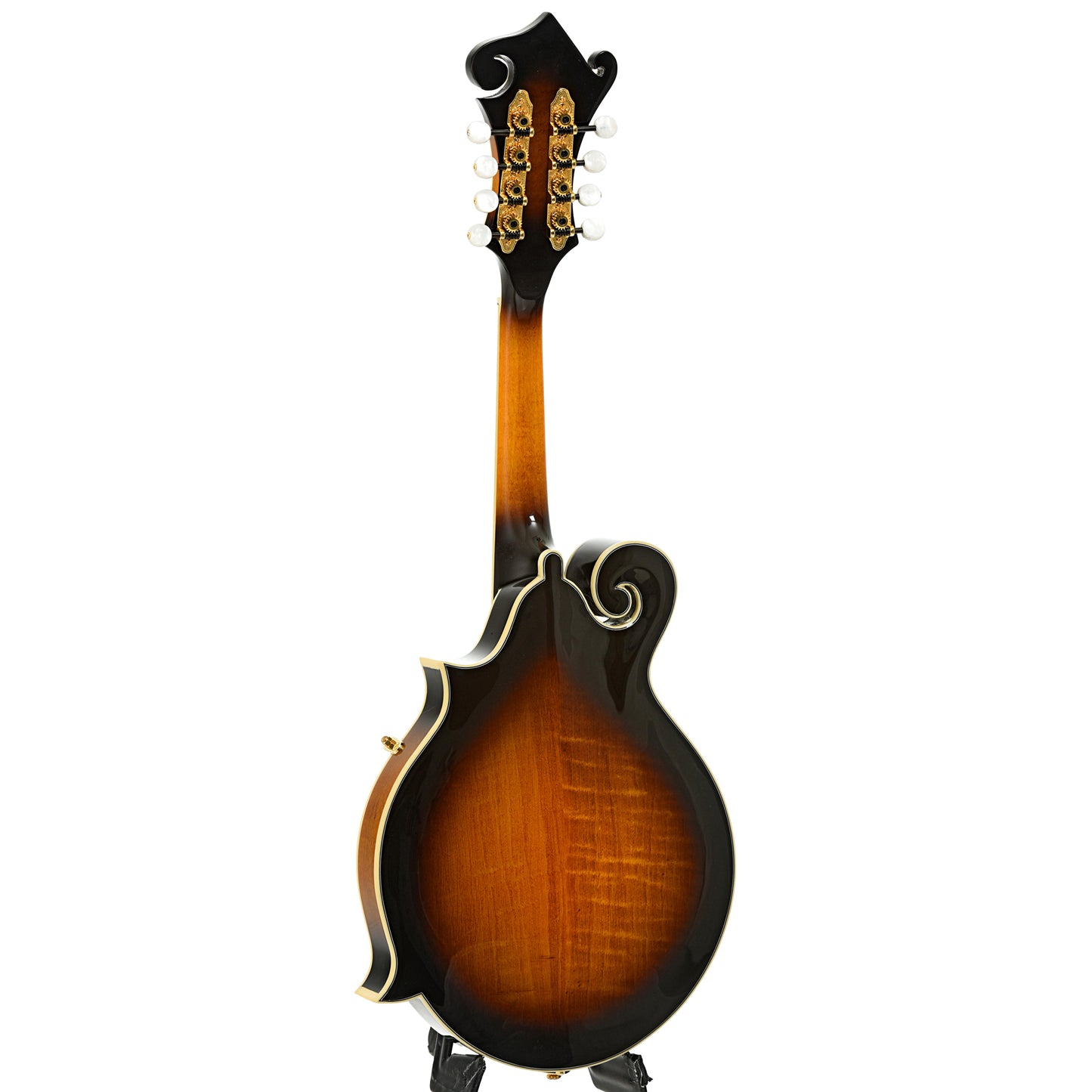 Full back and side of Gold Tone GM-70 Plus Mandolin