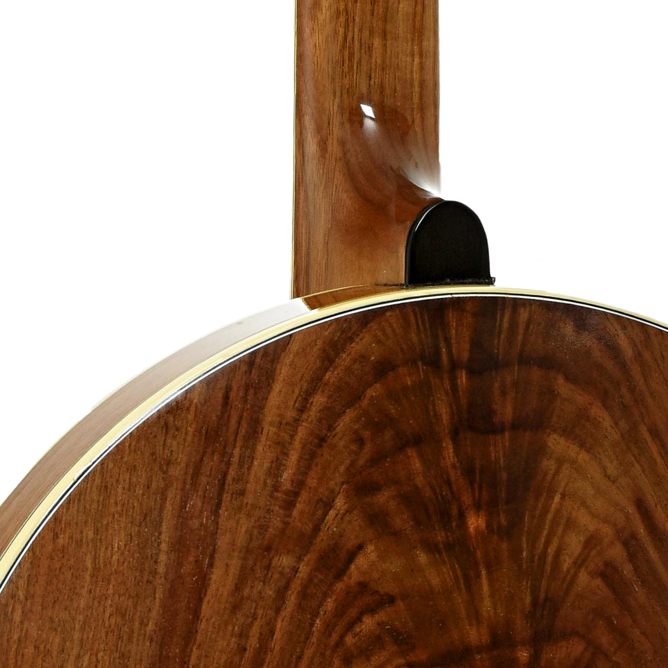 Neck joint of Louzee / Hopkins Mike Longworth Resonator Banjo