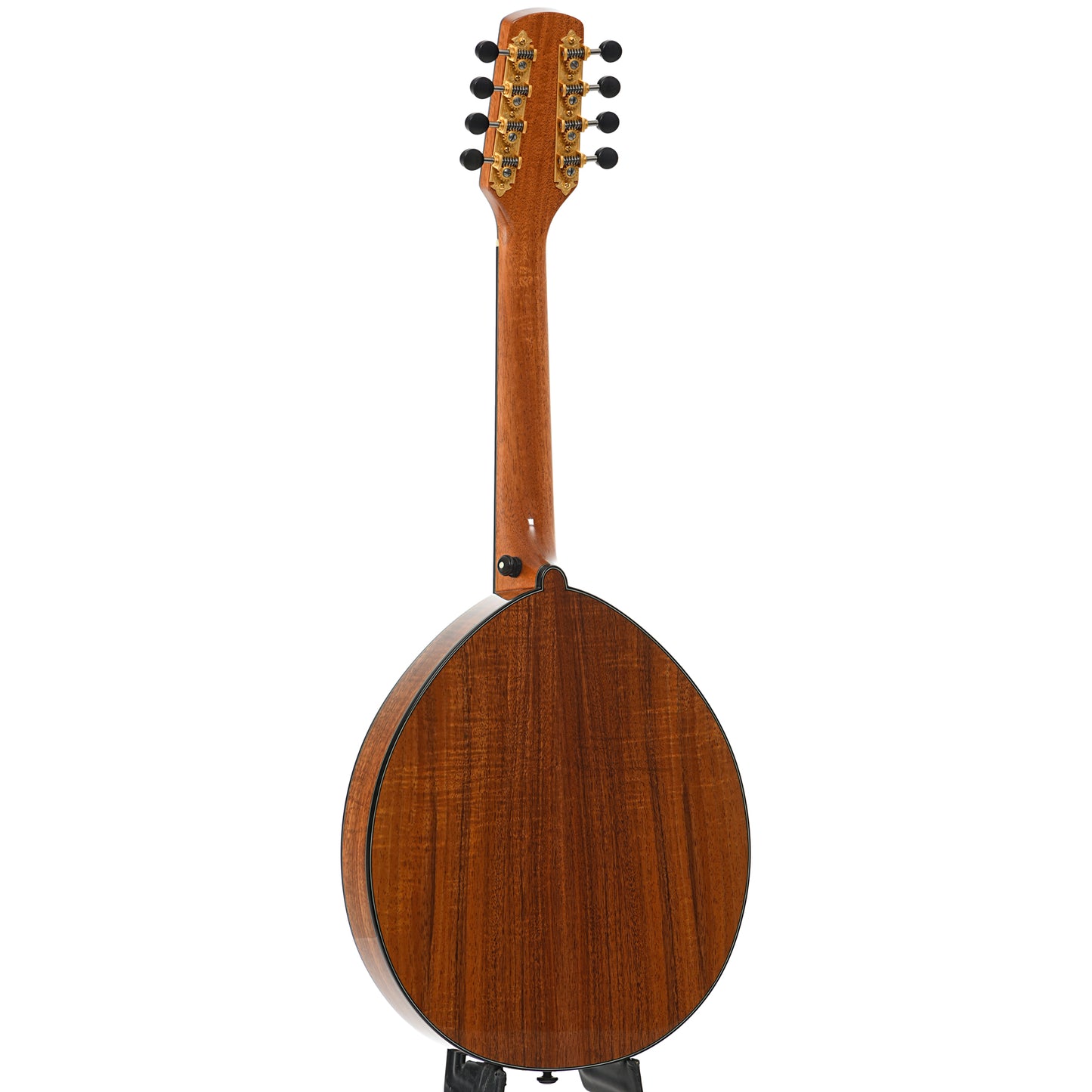 Full back and side of Poe Scout D4-7 Mandola