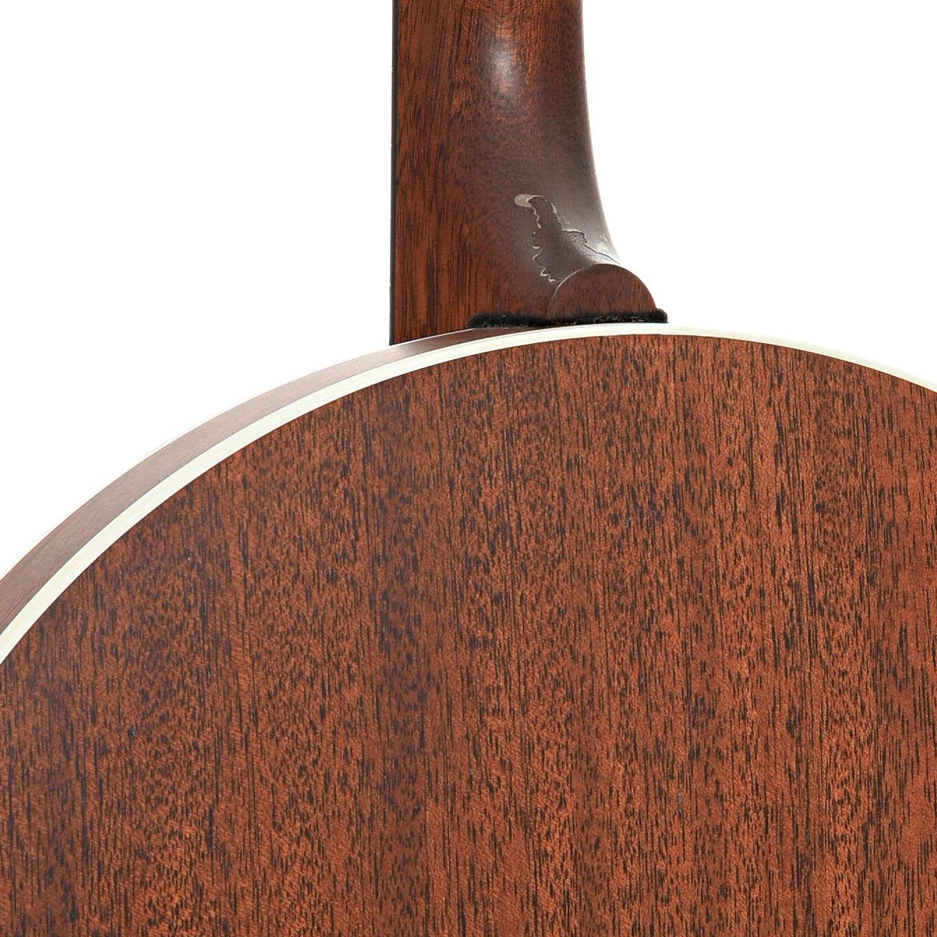 Heel of Deering Boston Plectrum 4-string Banjo (2014)