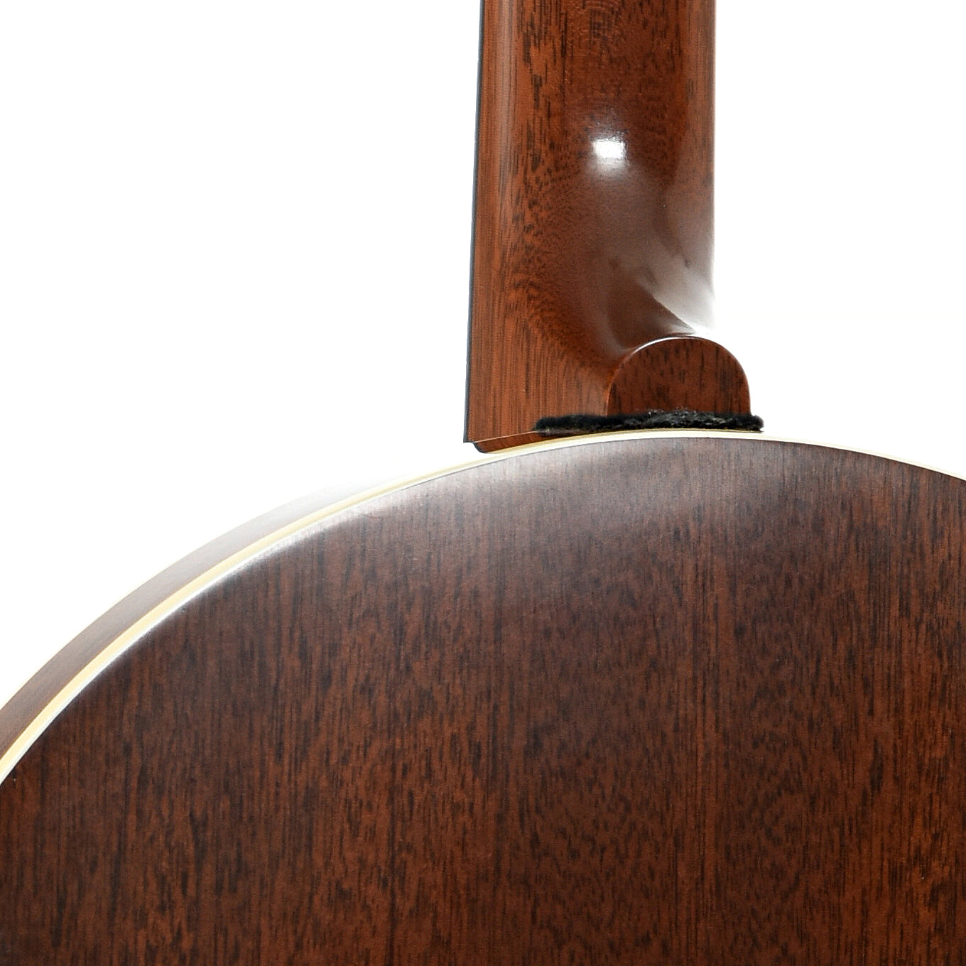 Neck joint of Boston 5-String banjo