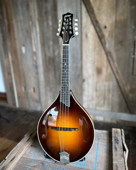 Showroom photo of Collings MT2 A-Model Mandolin & Case