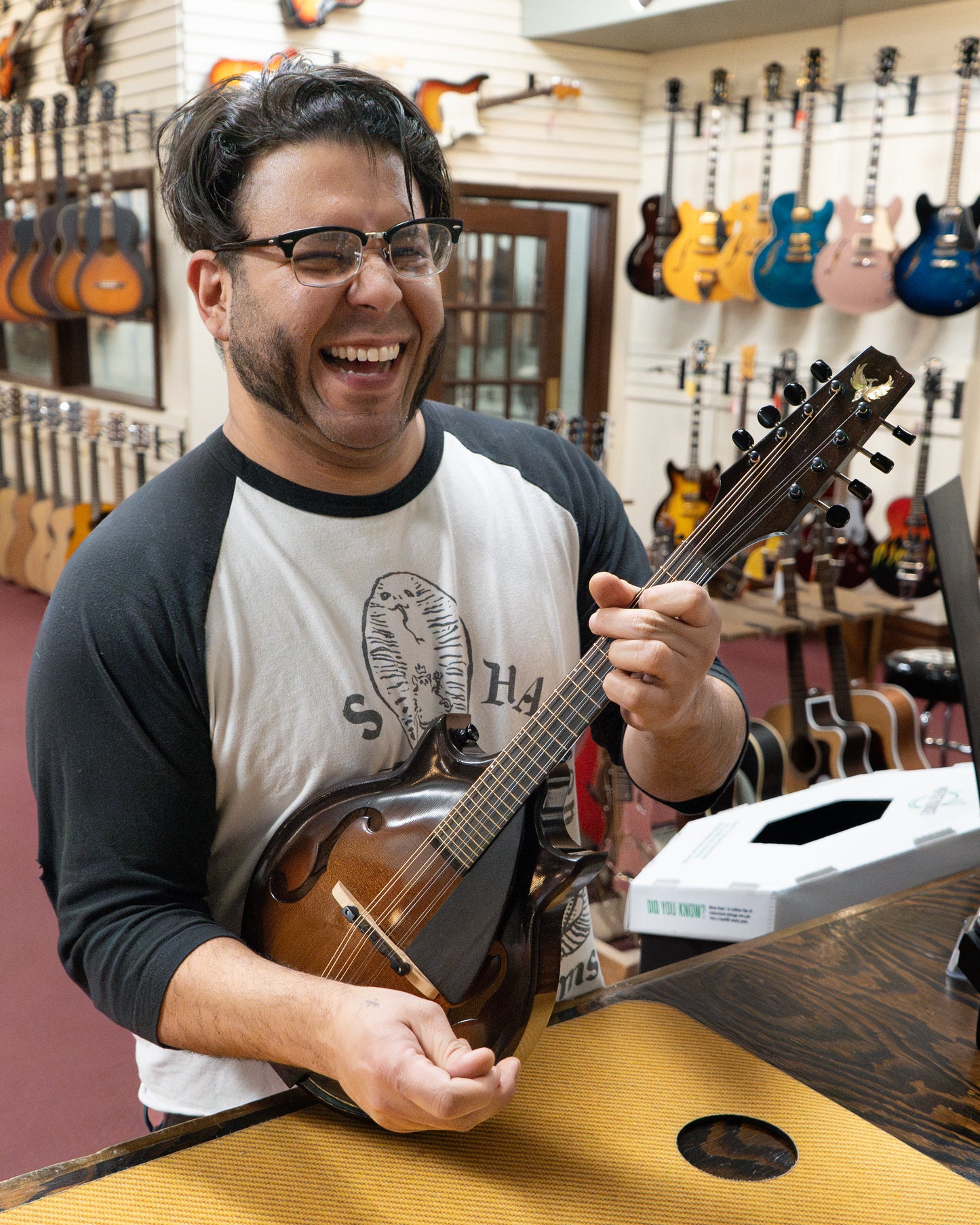 Showroom Photo of  
Front of Phoenix Europa III Mandolin 