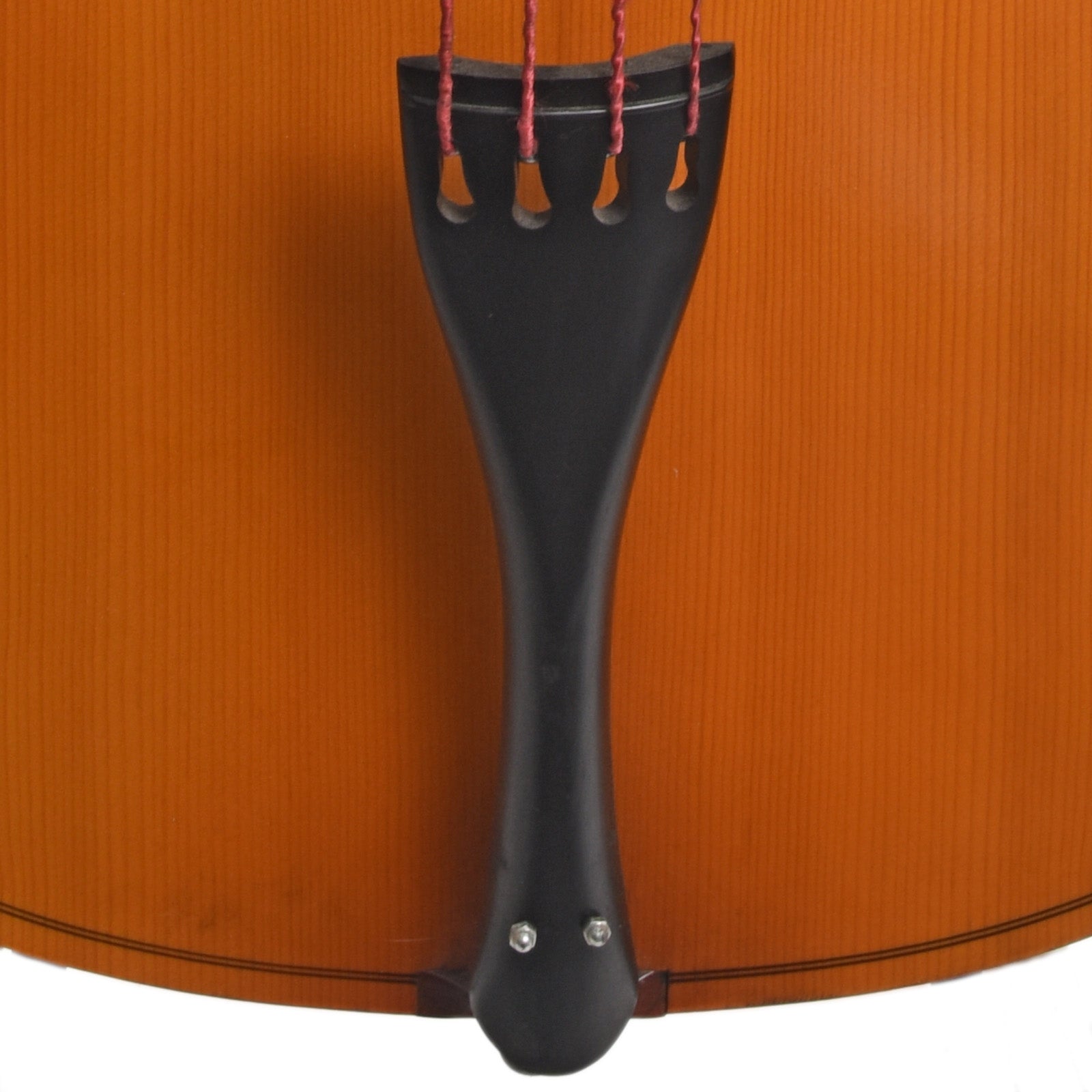 Tailpiece of Englehardt C-1 3/4 Upright Bass (1992)