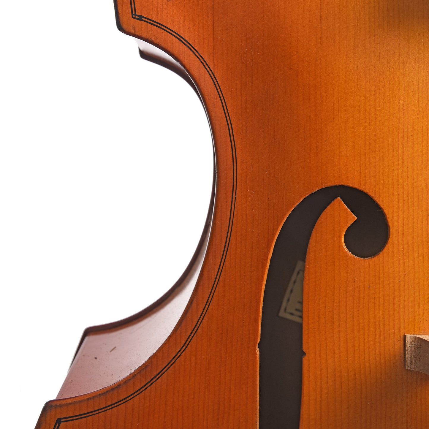 Waist of Englehardt C-1 3/4 Upright Bass (1992)