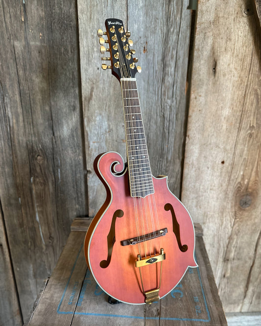 Showroom Photo of Front and side of Gold Tone F-10 10-String Mandolin 