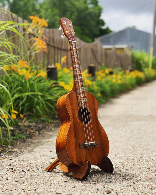 Showroom photo of Farida KKT-8 NC Tenor Ukulele