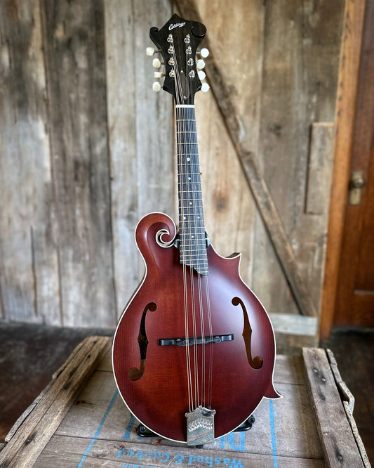 Showroom Photo of Front of Collings MF F-Model Mandolin Sheraton Brown, Ivoroid Binding