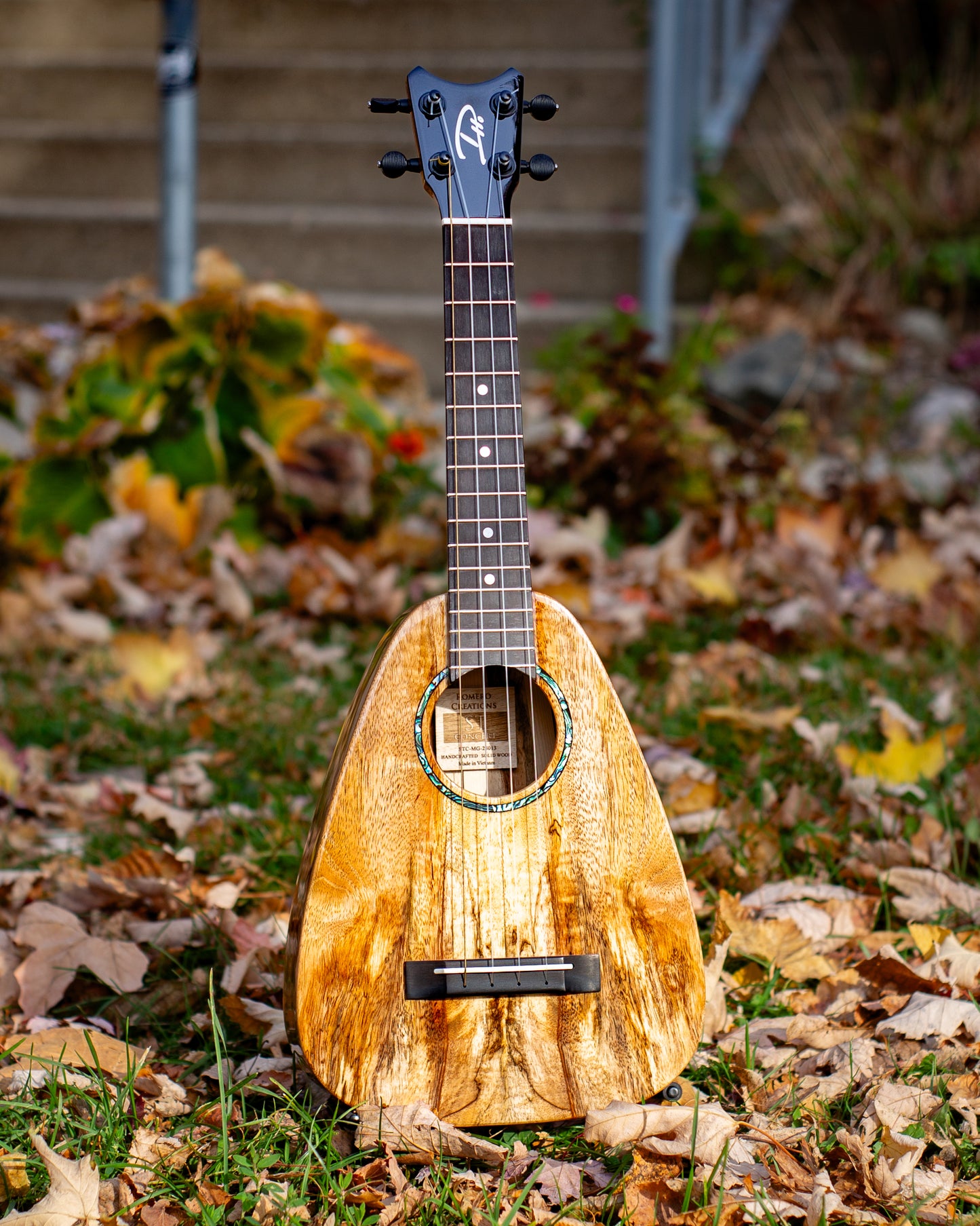 Showroom photo of front of Romero Creations ST Concert, Spalted Mango