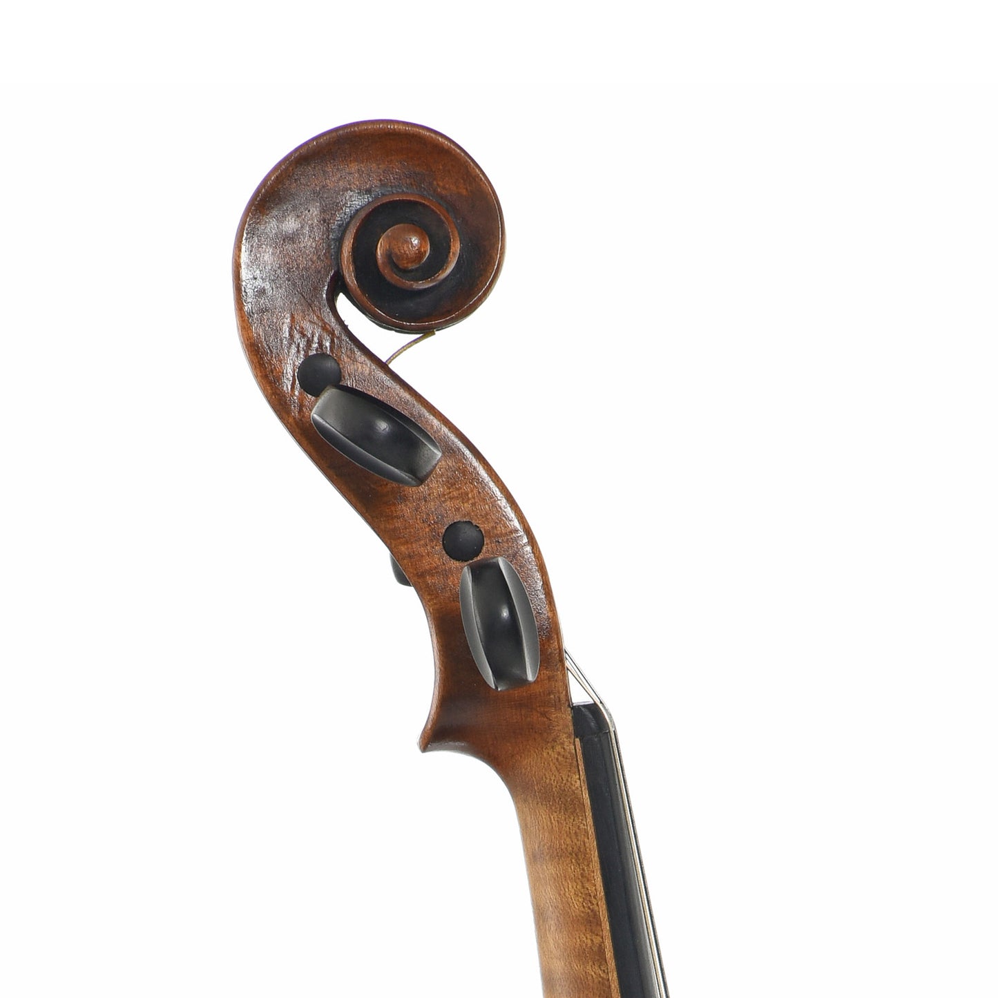 Scroll of Markneukirchen Strad Label Violin