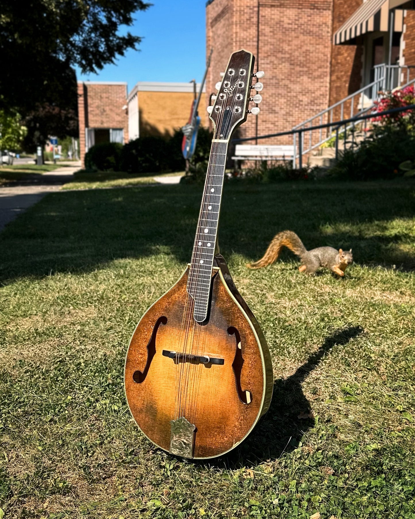 Showroom photo of Front of Stiver A Mandolin