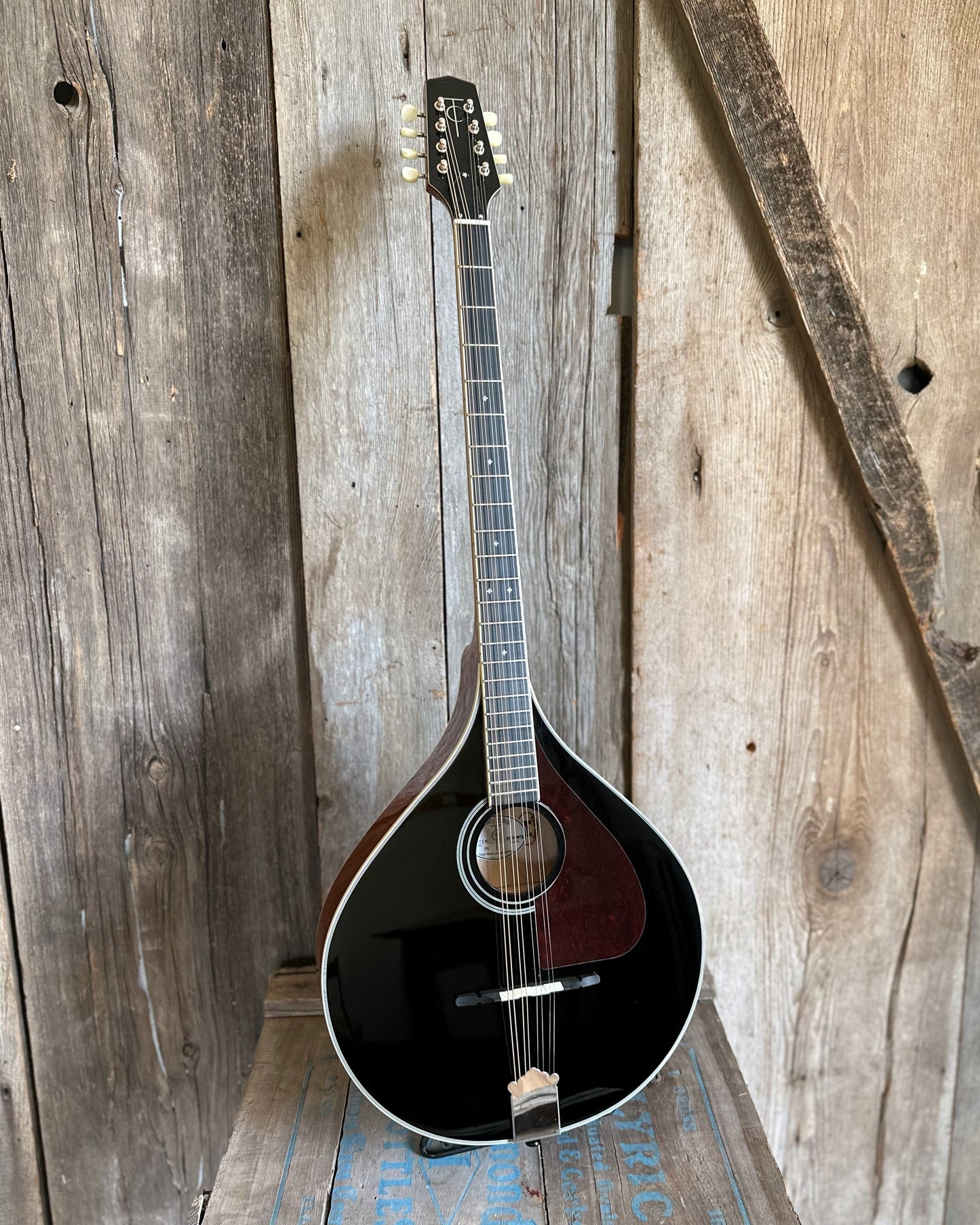 Showroom Photo of Front of Trinity College Bouzouki, Black Top