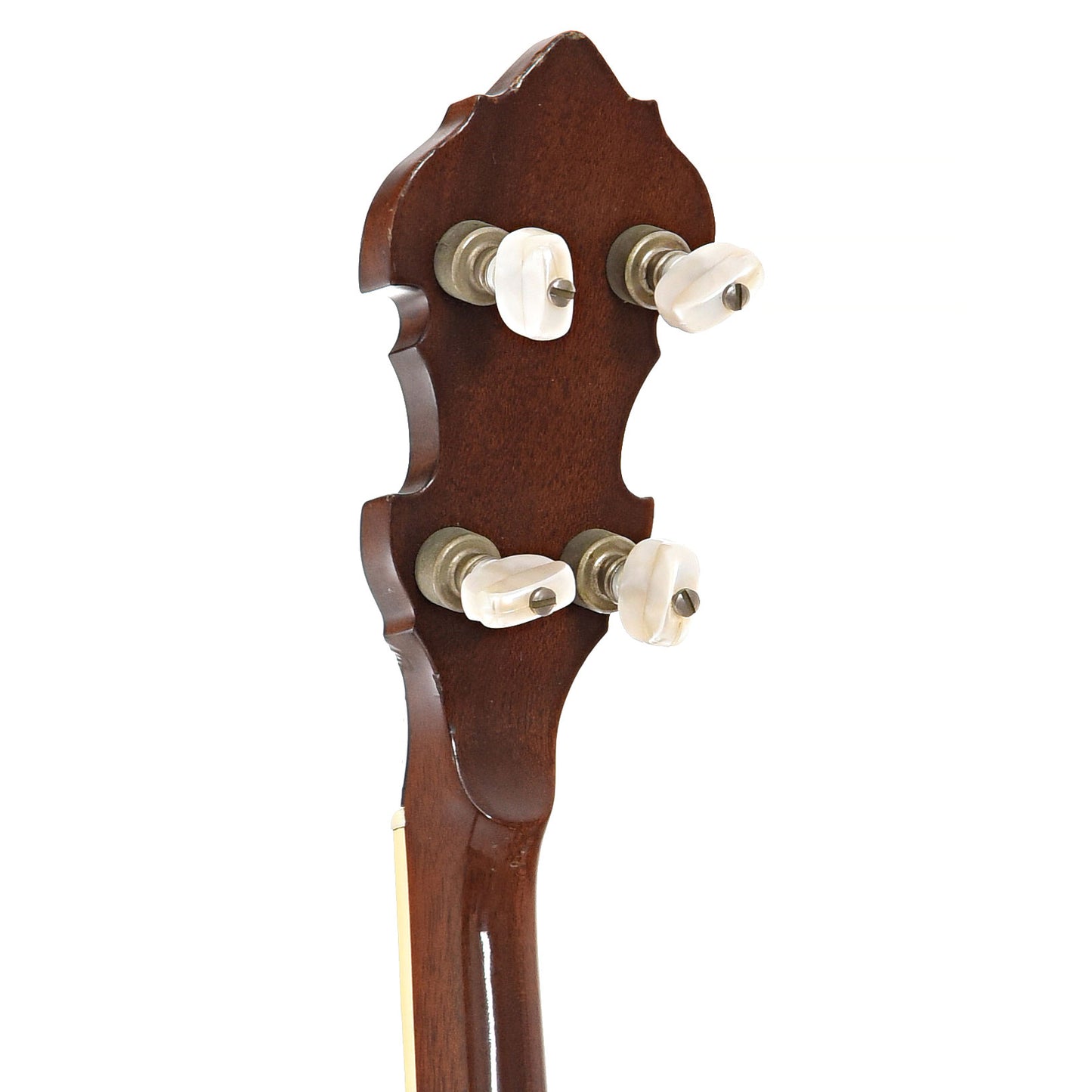 BAck headstock of Gibson PB-3 Conversion Resonator Banjo (1930)