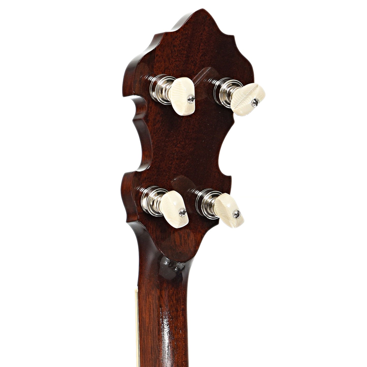 BAck  headstock of Sullivan Vintage 35 Mahogany Resonator Banjo,Speed Neck