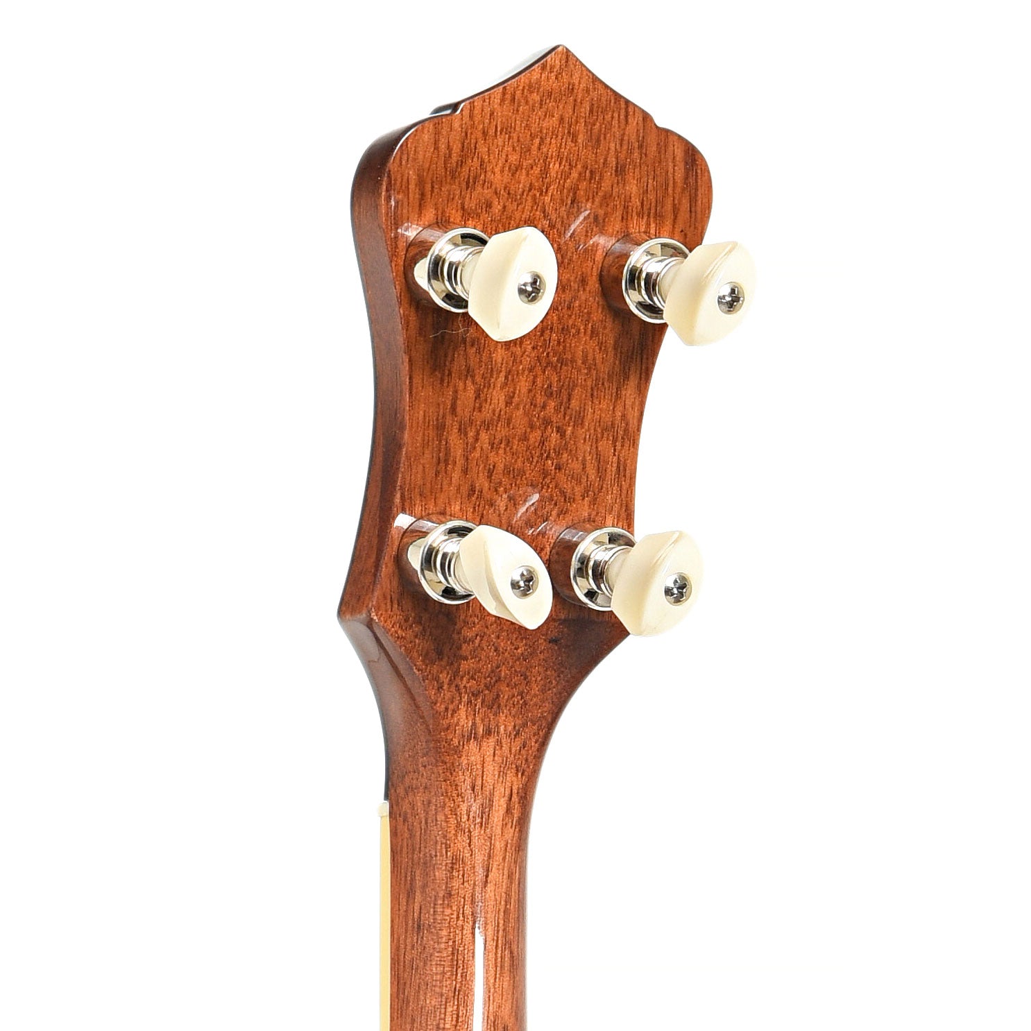 BAck headstock of Recording King Madison Deluxe R36 (2019)