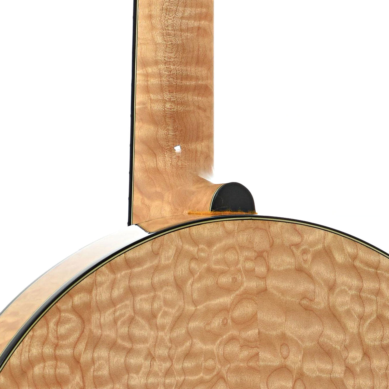 Heel of Stelling Tree of Life Resonator Banjo (2001)