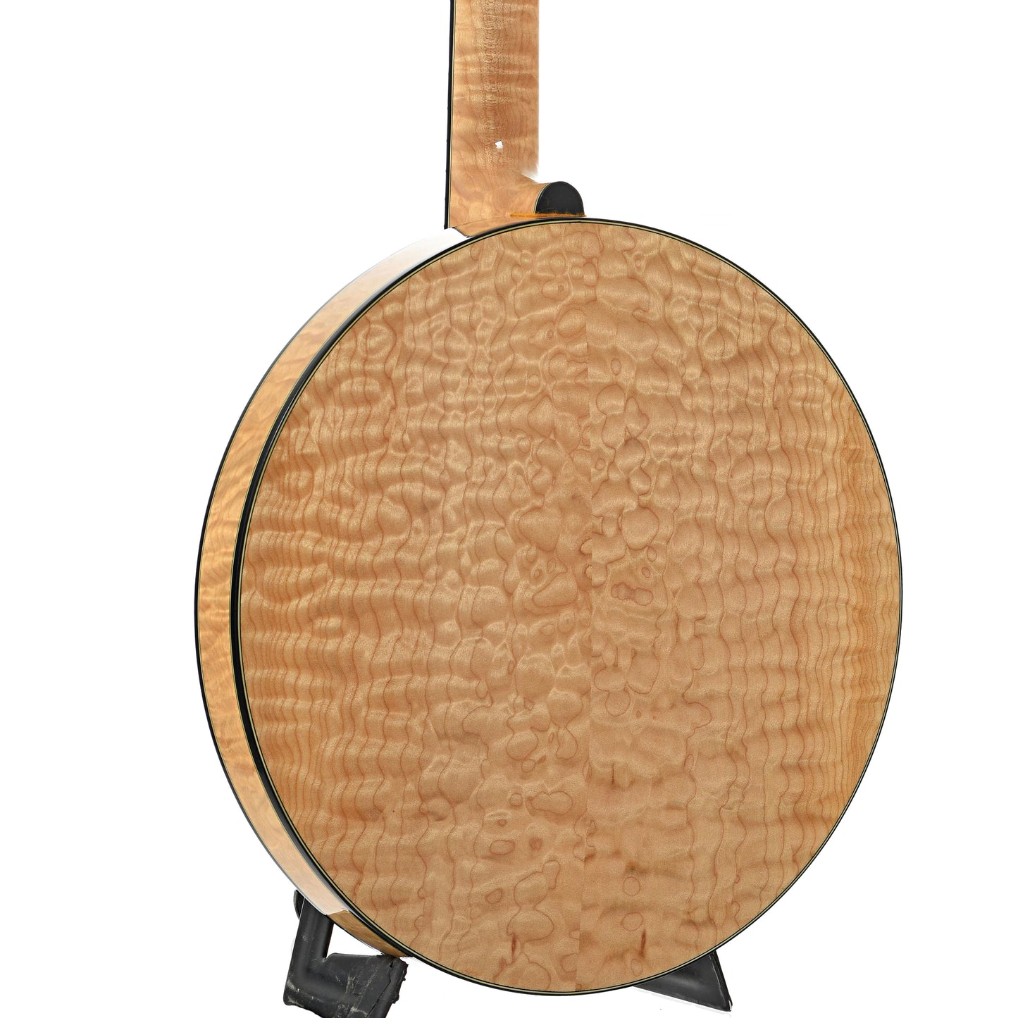 Back and side of Stelling Tree of Life Resonator Banjo (2001)