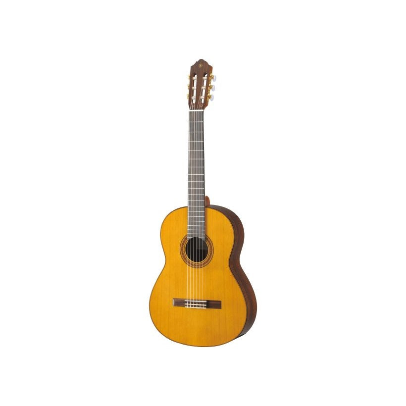 Elderly instruments acoustic guitar hotsell