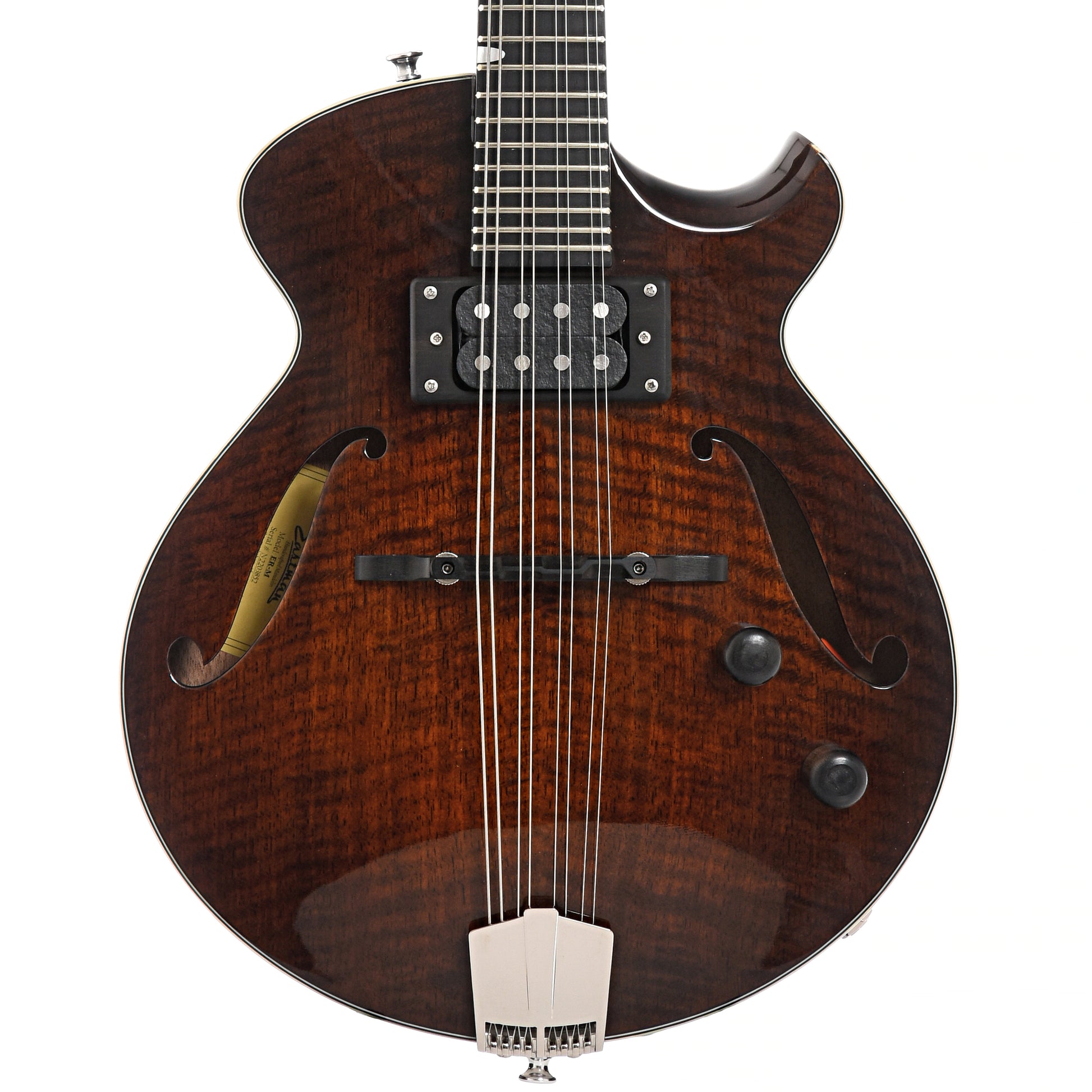 Front of Eastman ER-M El Rey Mandolin