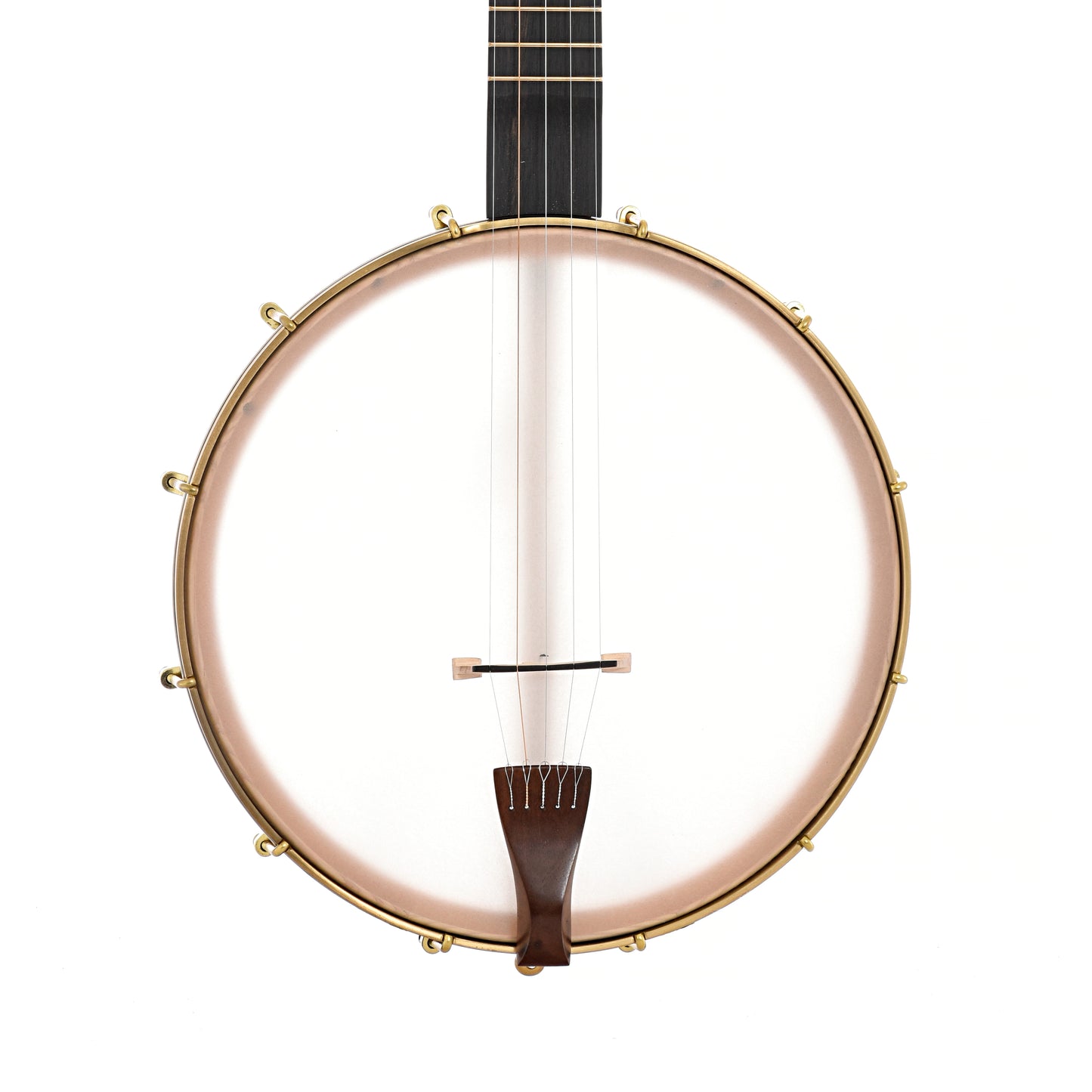 C. Waldman 12" Chromatic (Step-Side) 12" Openback Banjo, No. 148