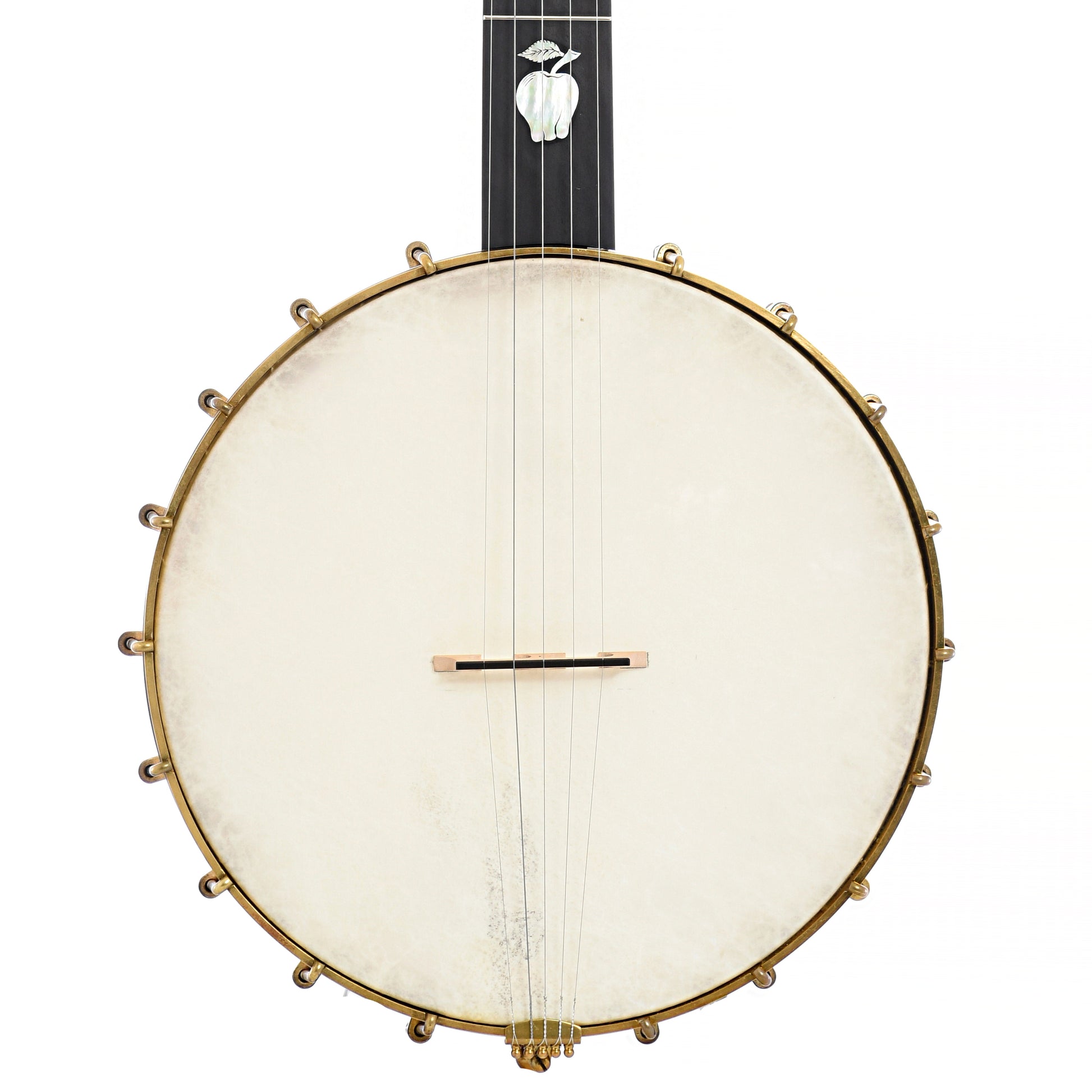 Front of Baugus Short Scale Open Back Banjo