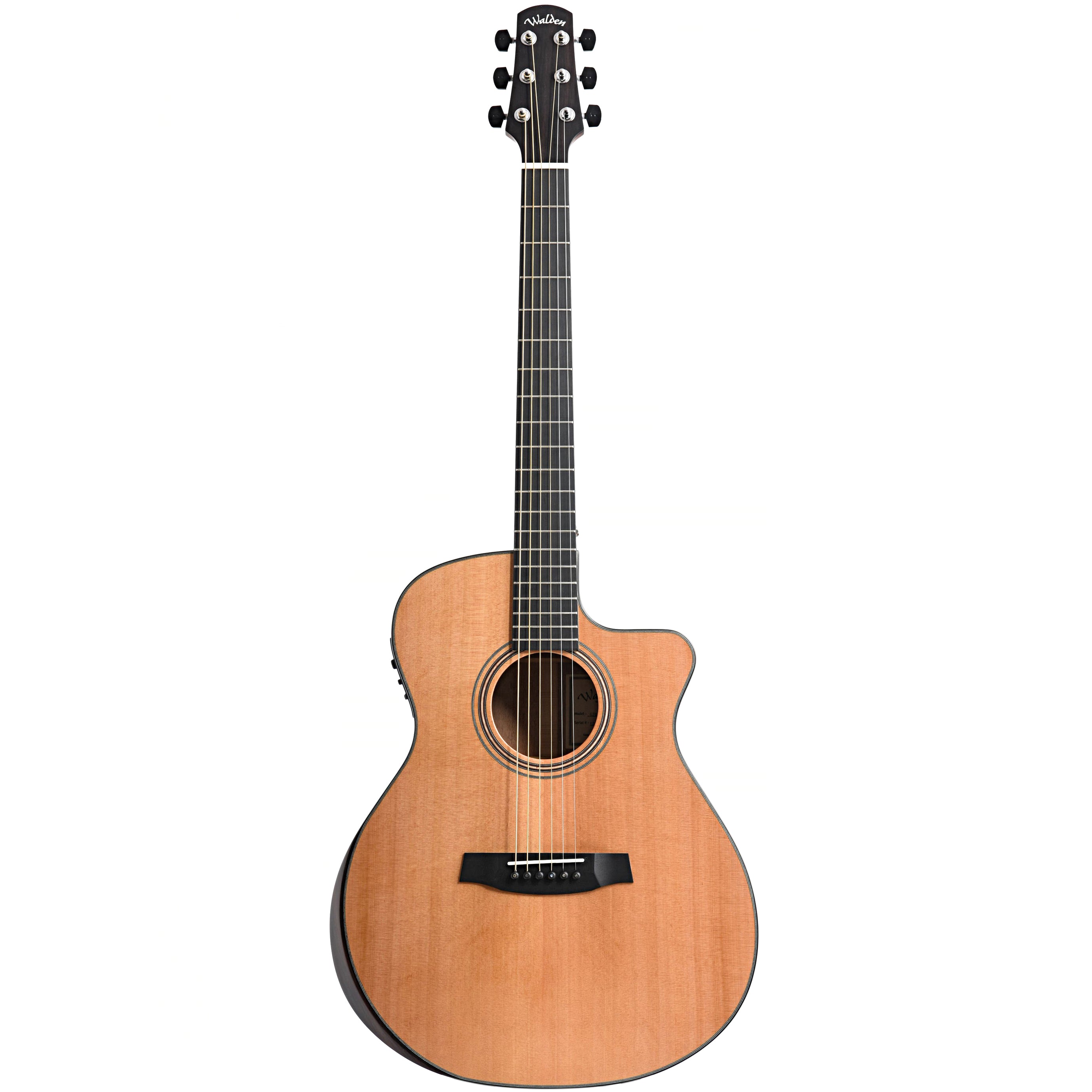 Walden Supranatura G2070RCE Acoustic-Electric Guitar & Case 