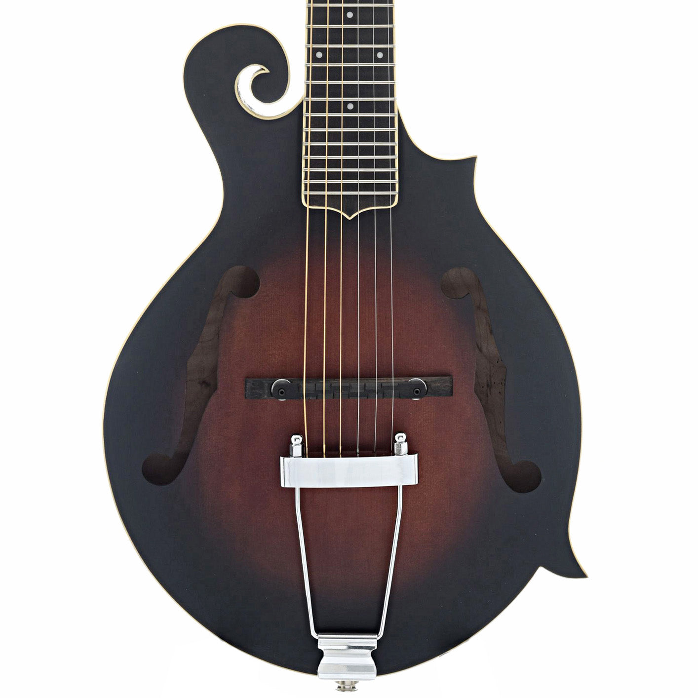 Gold Tone F 6 6 String Mandolin Guitar with Case