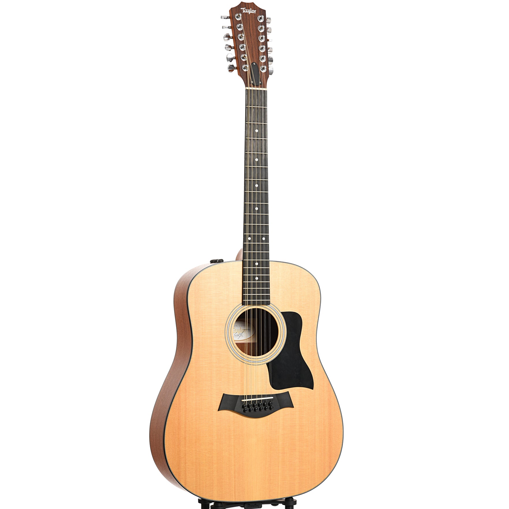 Taylor 110e deals strings