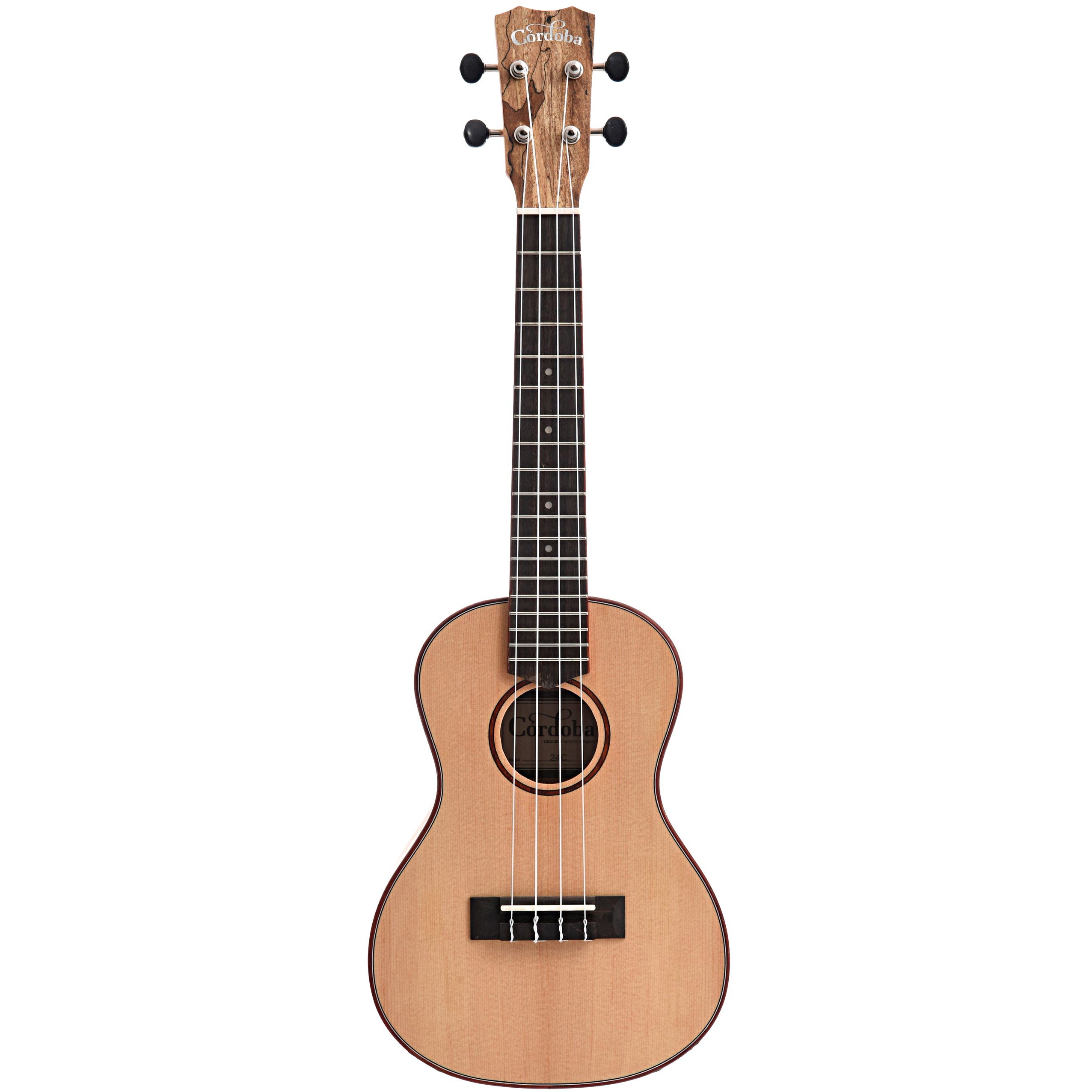 Cordoba 24C Spruce Concert Ukulele