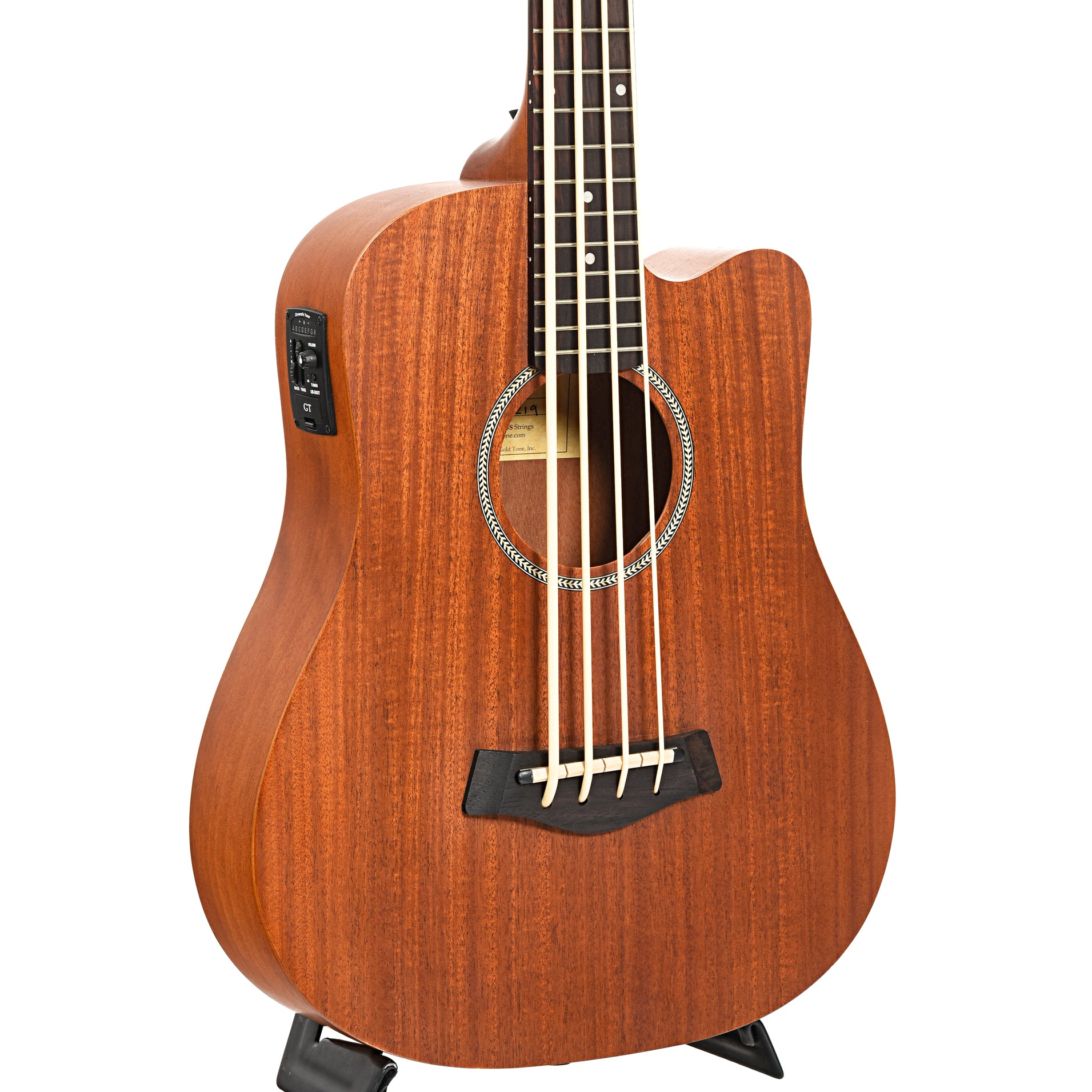 Gold Tone Acoustic Electric MicroBass 2019 Elderly Instruments