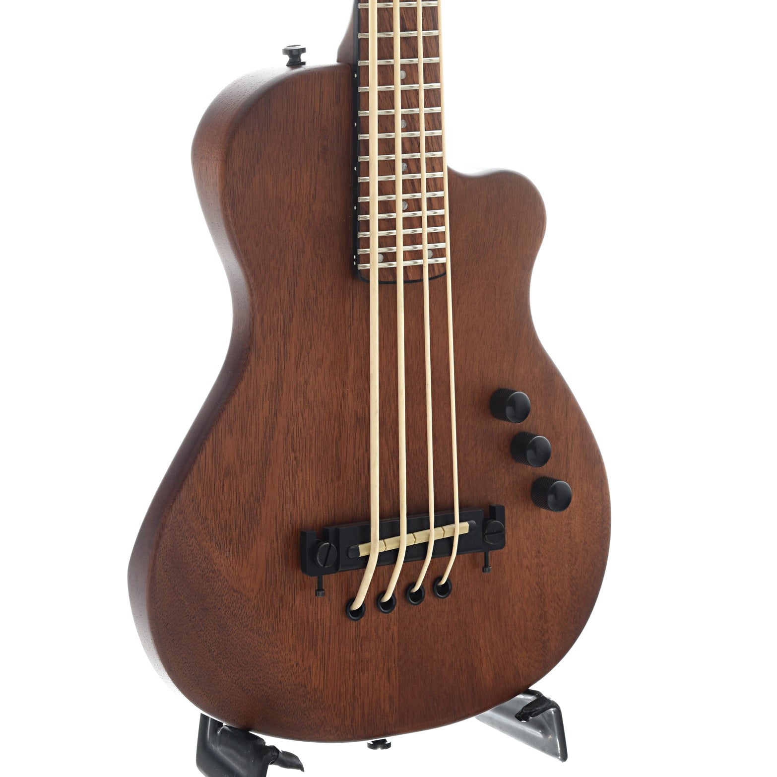 Gold tone fretless deals bass