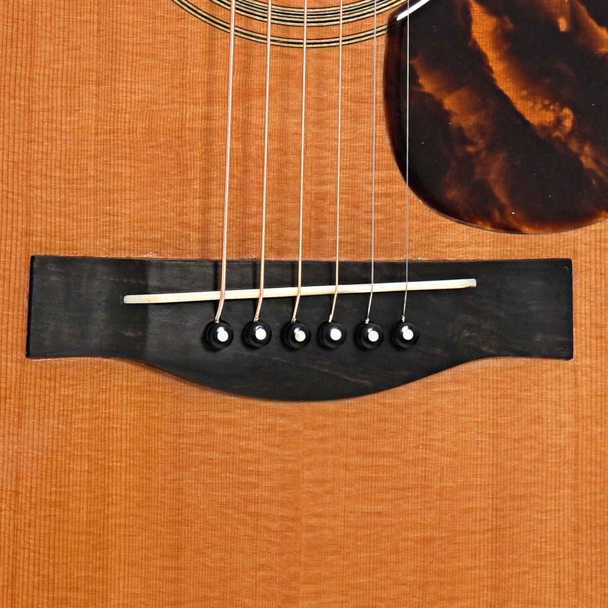 Bridge of Santa Cruz D Rosewood