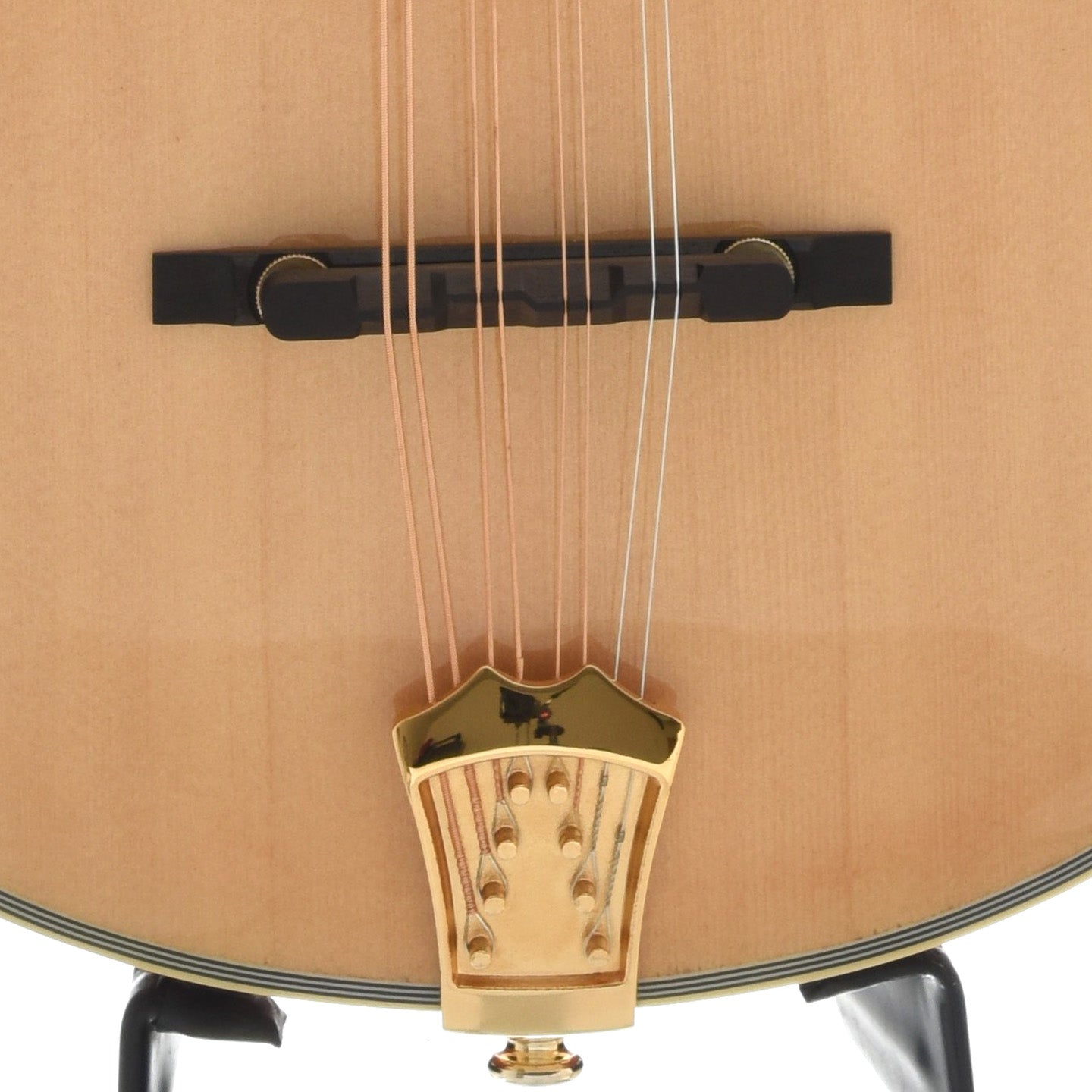Gold Tone OM-800 Plus Octave Mandolin with Pickup & Case