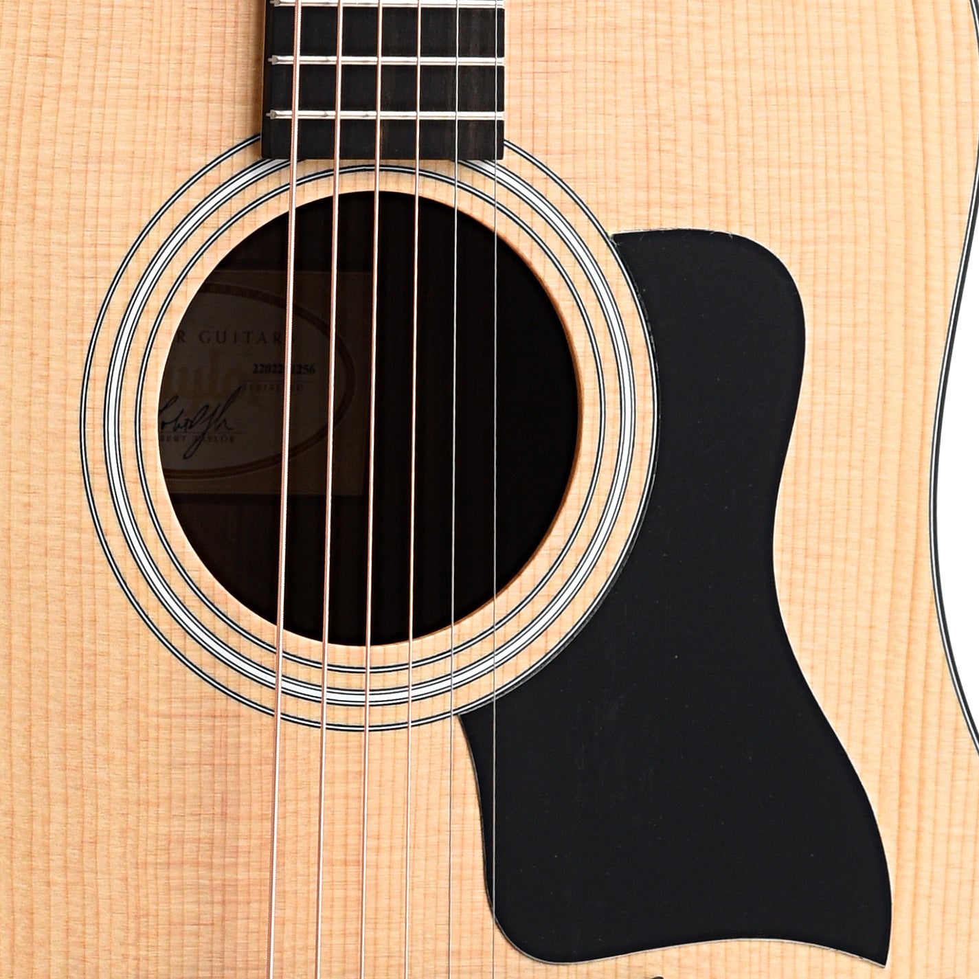 Taylor 110e Acoustic Guitar & Gigbag