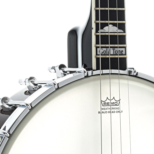 Gold Tone IT-250 Irish Tenor Banjo (vintage brown)