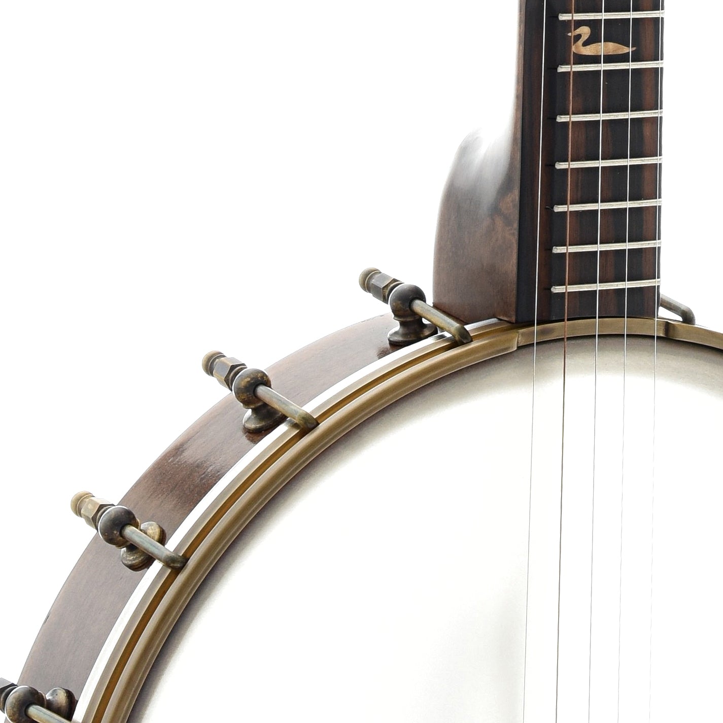 Image 4 of Pattison Mountain Loon 12" Openback Banjo - SKU# PMTL1 : Product Type Open Back Banjos : Elderly Instruments