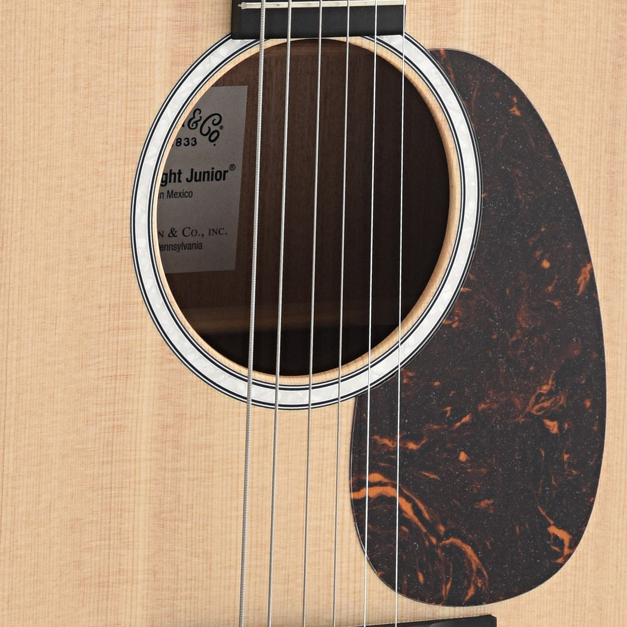 Soundhole and Pickguard of Martin DJR10E Dreadnought Junior 