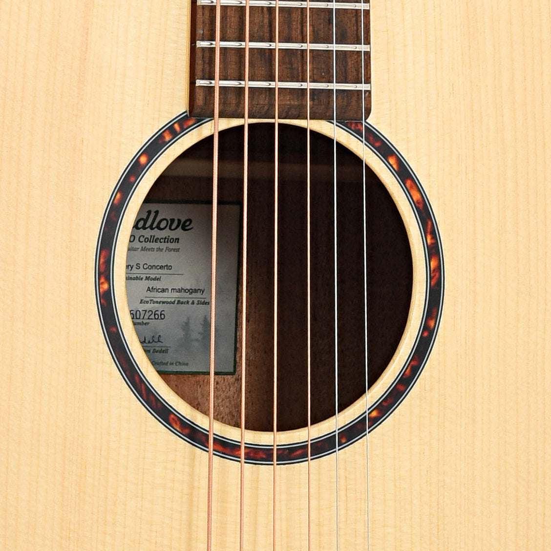 Sound hole of Breedlove Eco Collection Discovery S Concerto European-African mahogany 