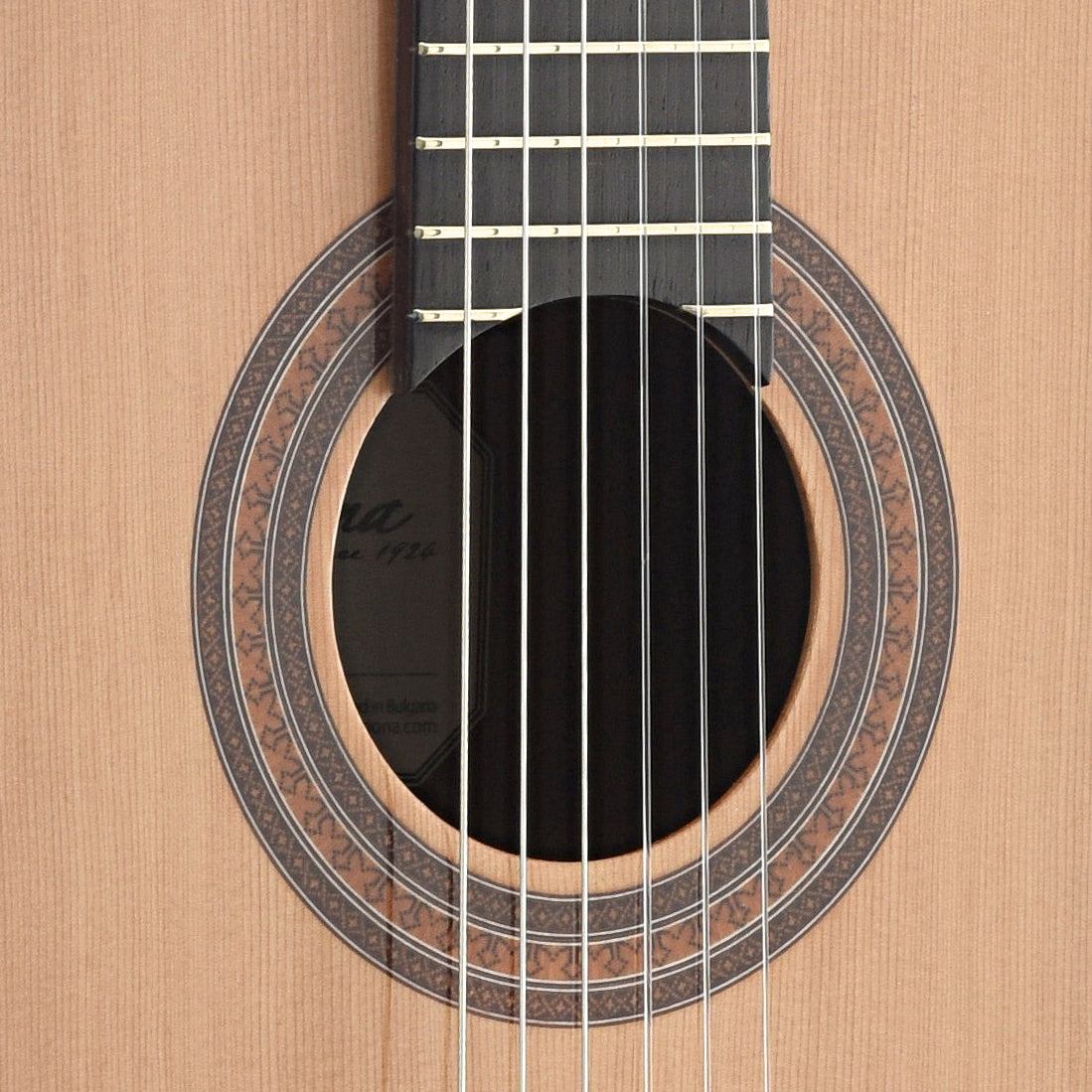 Kremona Artist Series Fiesta FC Classical Guitar and Case Elderly Instruments