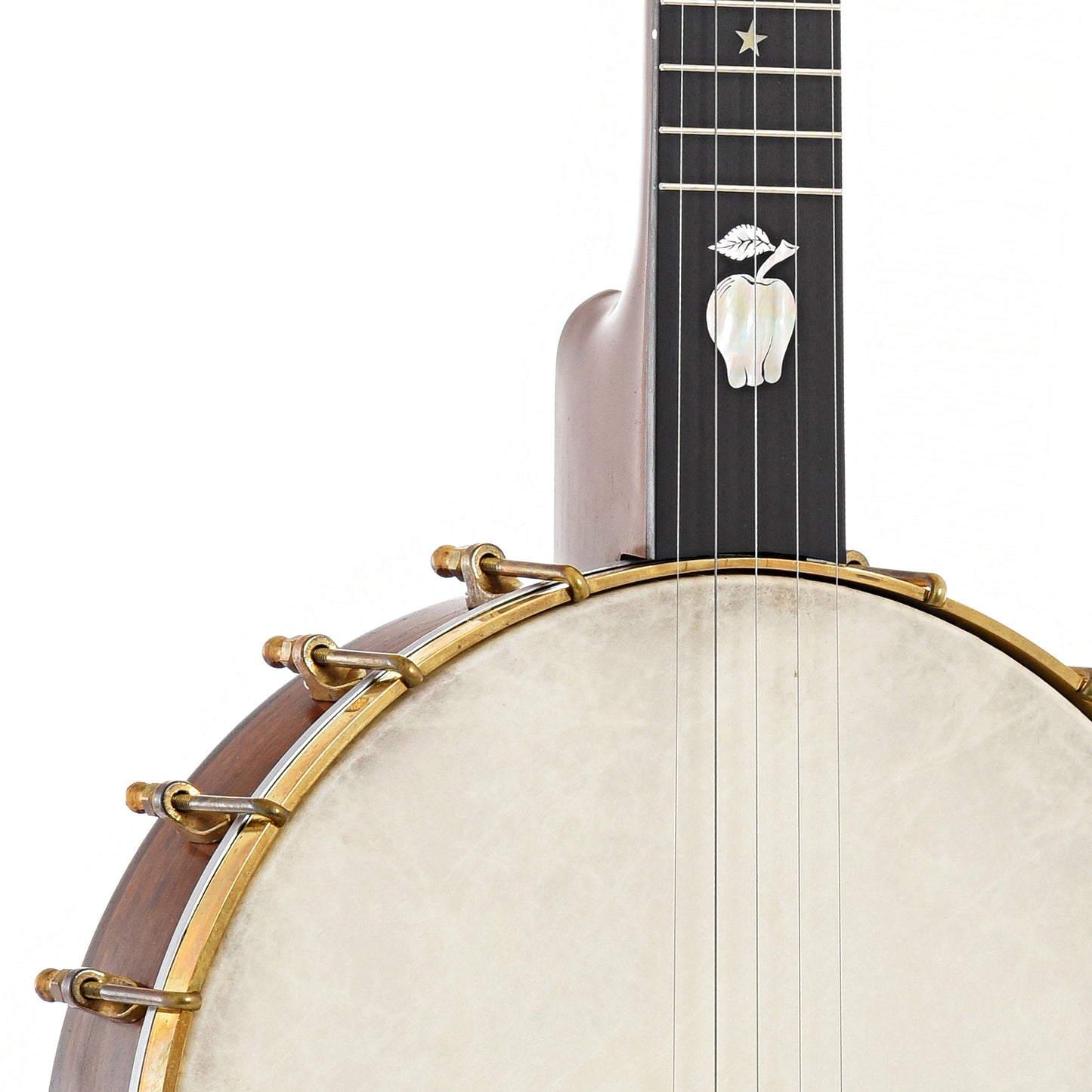 Front Neck Joint of Baugus Short Scale Open Back Banjo