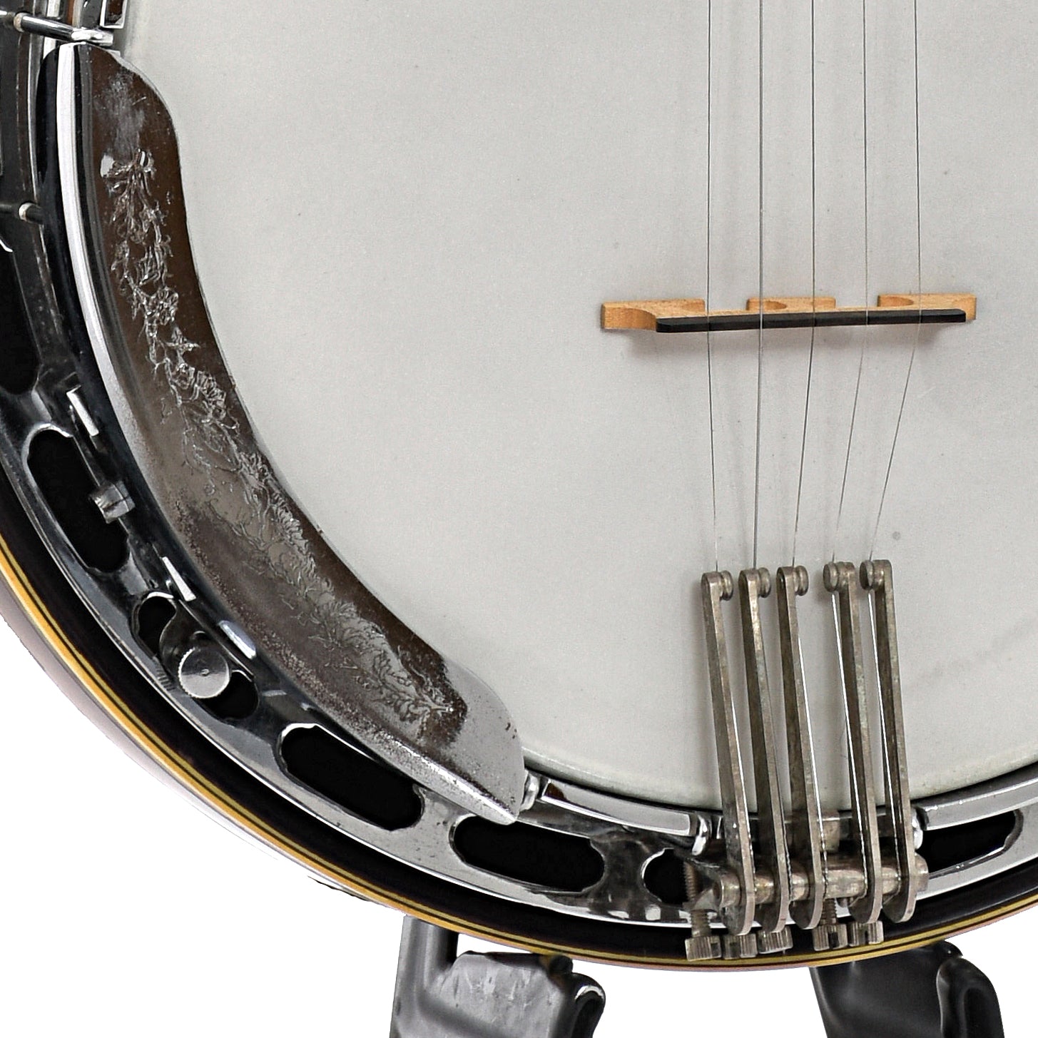 Aria pro ii deals banjo