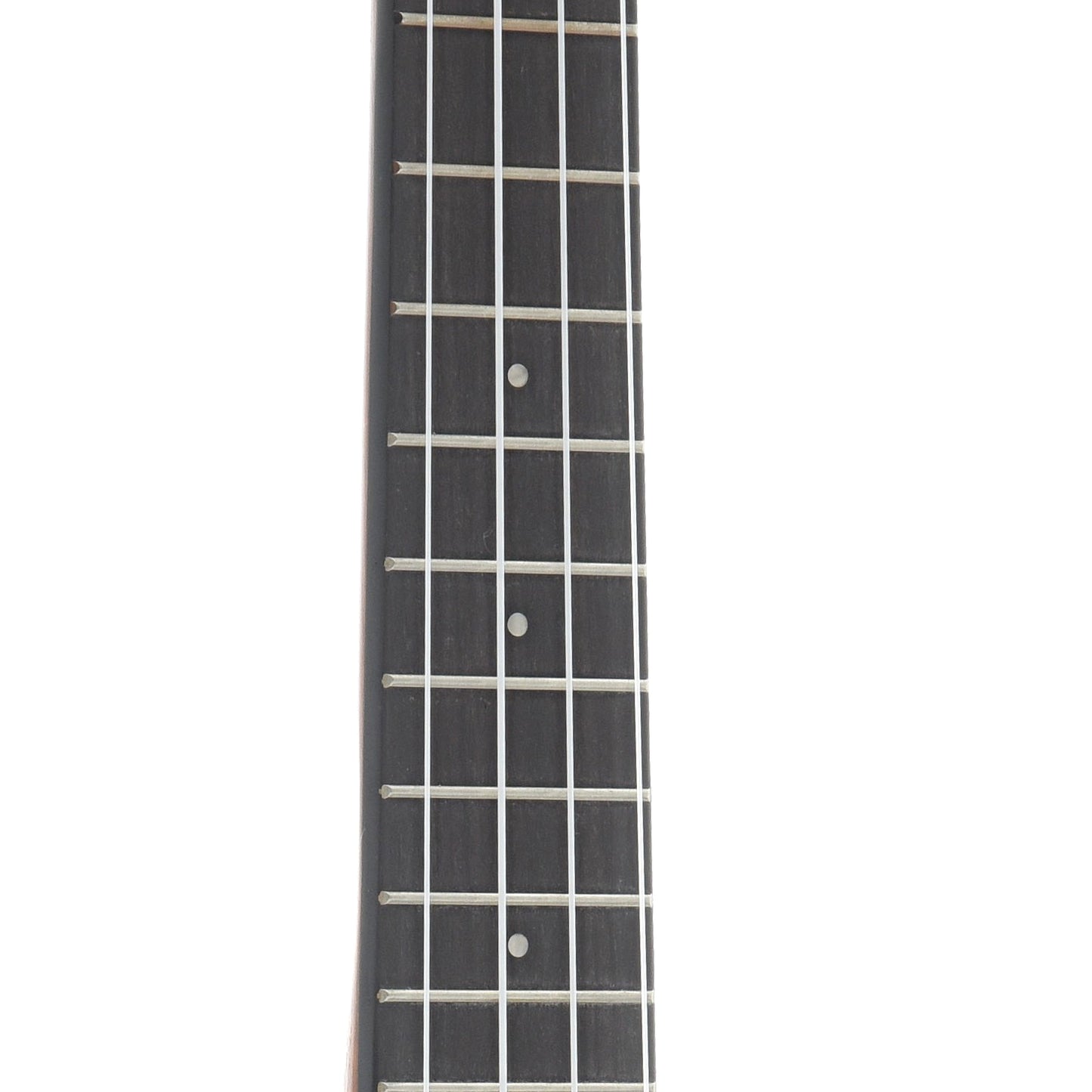 fretboard of Cordoba Concert Ukulele 