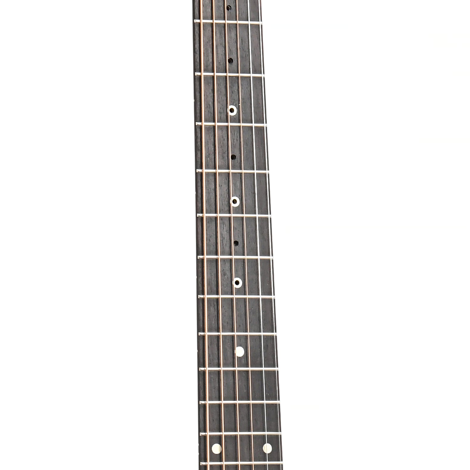 Iris Guitar Company DE 11 Dan Erlewine Signature Model Acoustic Guitar Elderly Instruments