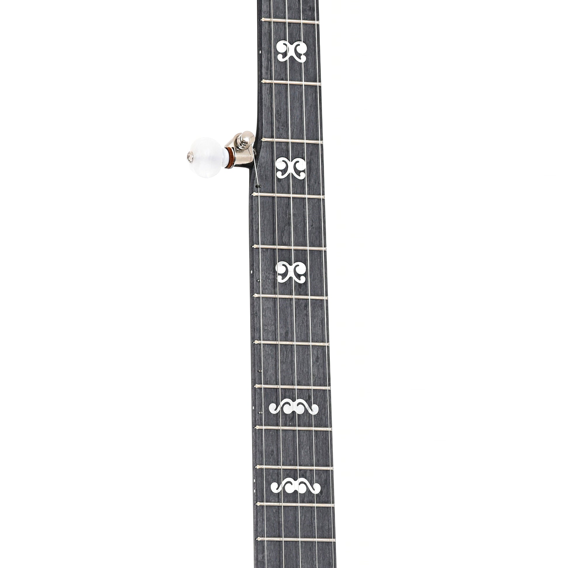 Fretboard of Deering Goodtime Blackgrass Special Resonator Banjo